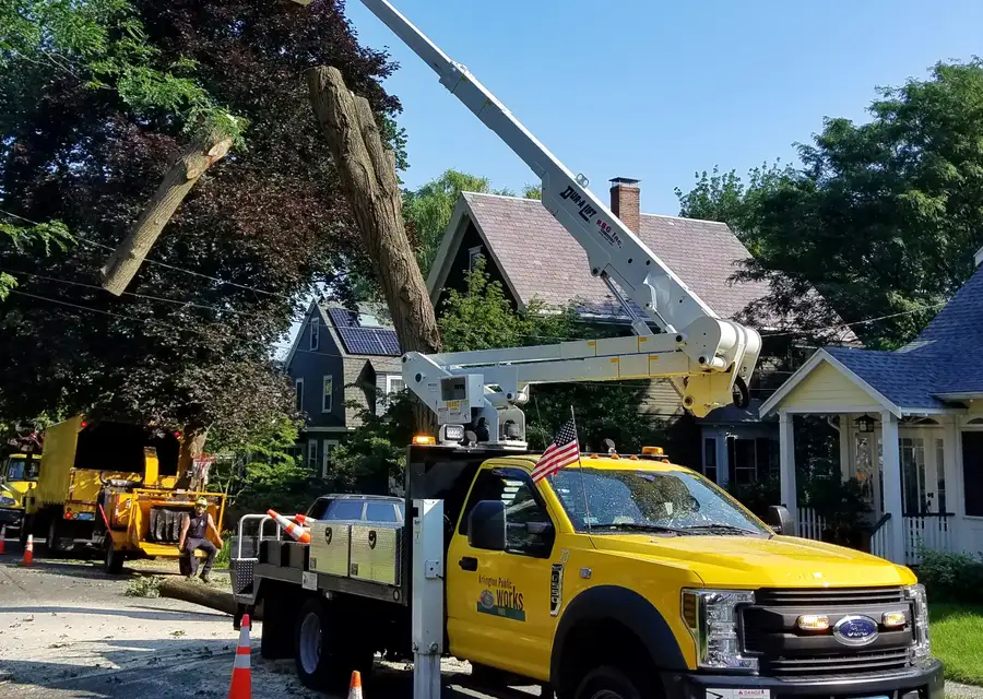 Bucket truck and crew removing a large tree beside a house